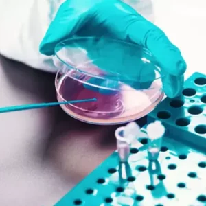 Afb Antibiotic Susceptibility, 5 Drugs